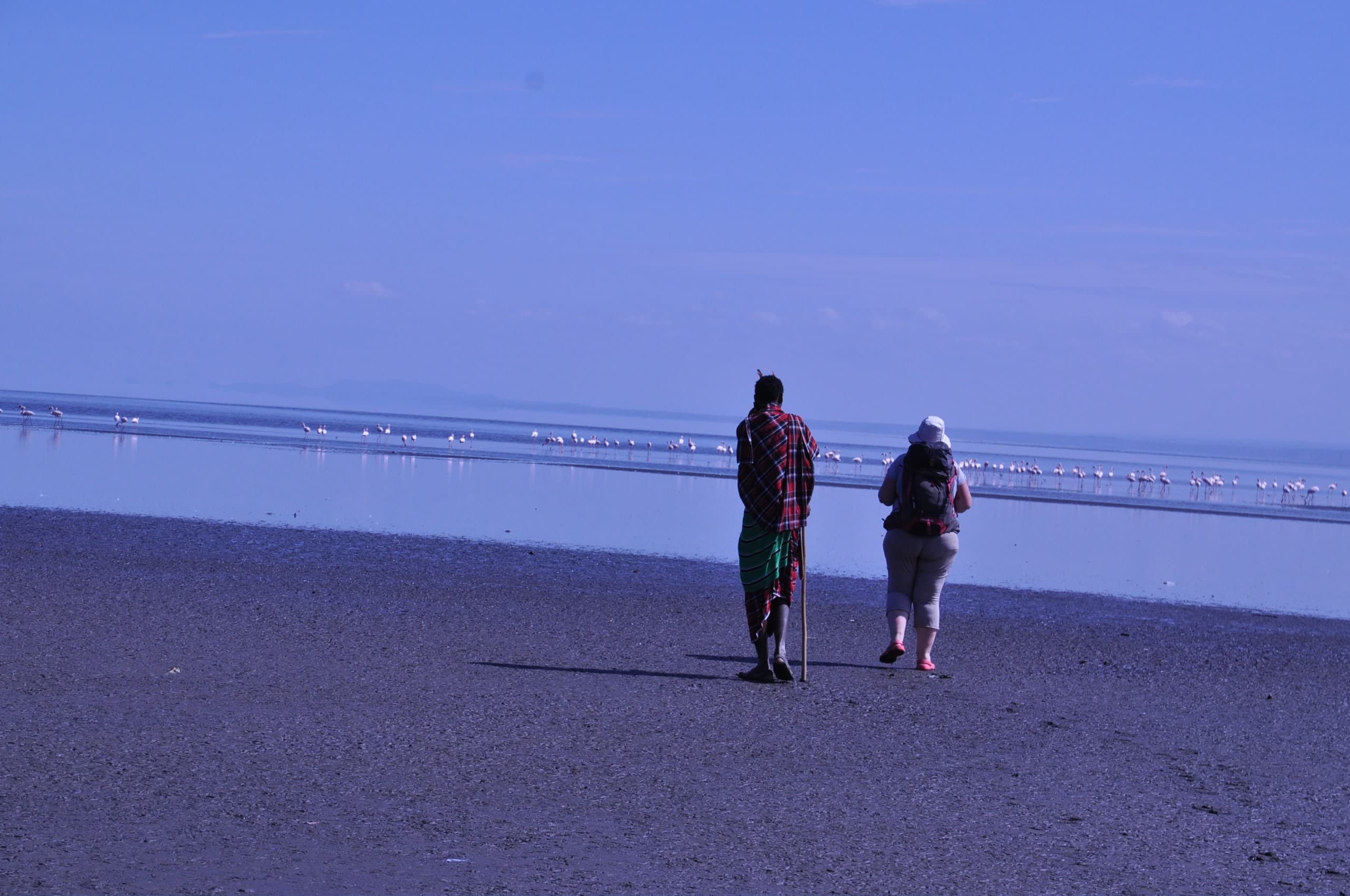 A Maasai guide and a guest walking the grey shore of Lake Manyara towards a long line of flamingos