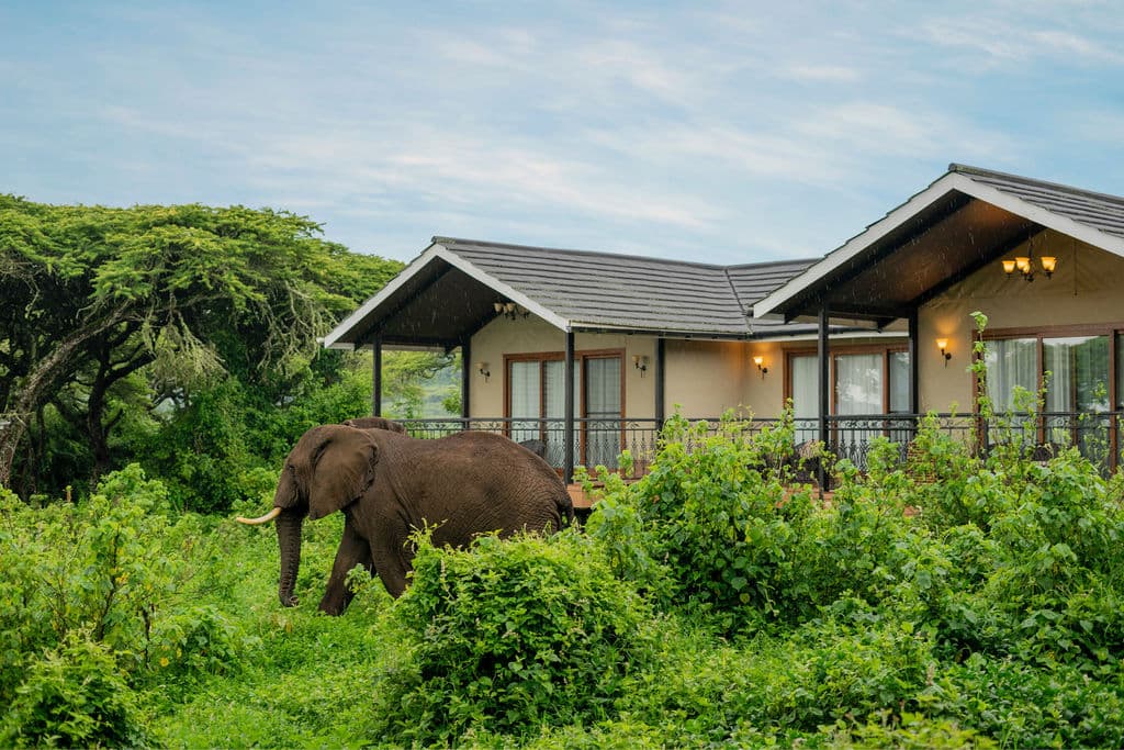 An elephant walking through green scrub a few metres from the verandas of two guest suites